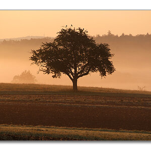 2011 herbst7
