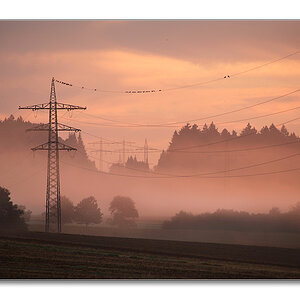 2011 herbst9