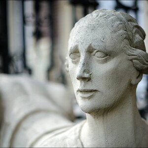 13.08.2011 - Nordkirchen - Sphinx