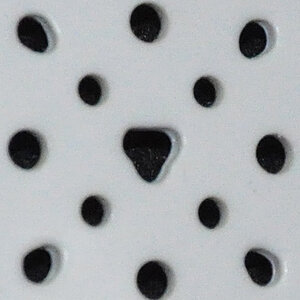 DSC 2088