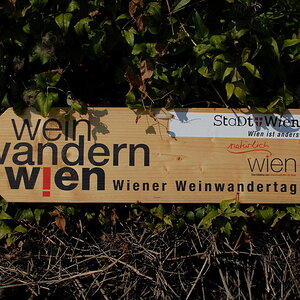 Weinwandertag 01
