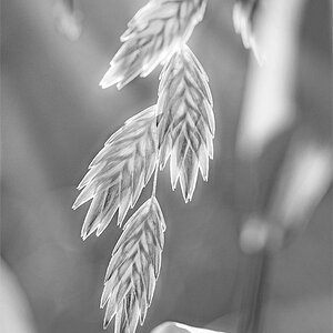 20110831 163aaaneopan sw