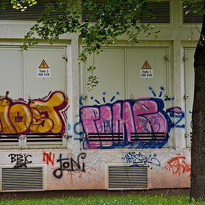 DSC 4617