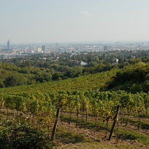 Weinwandertag 18