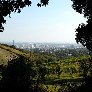 Weinwandertag 17