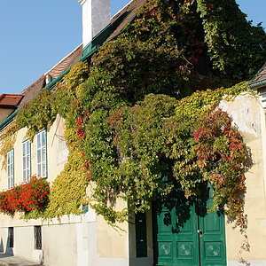 Weinwandertag 21