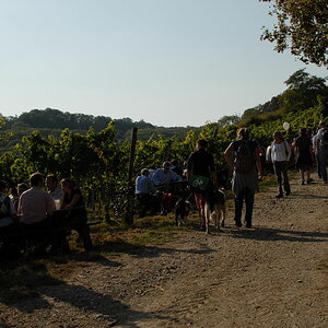 Weinwandertag 23