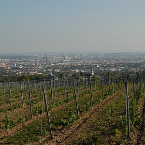 Weinwandertag 24