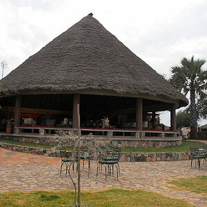 Das Gebäude mit der Bar
in der Tarangire Safari Lodge
0572