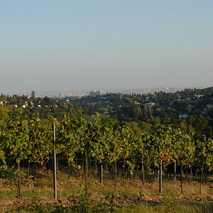 Weinwandertag 30