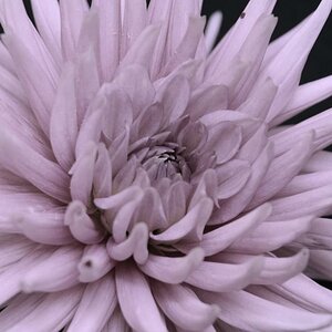 Macro