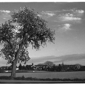 B&W Orange 040 (4x)