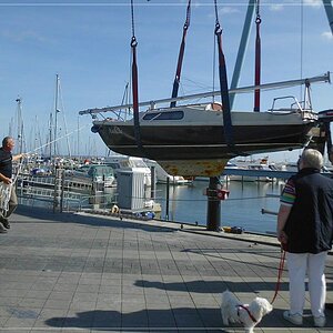 Mathilde an der Leine 2
