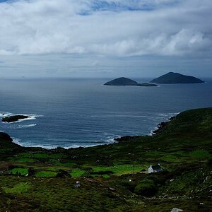 X 0094 Irland 2011 near Inch