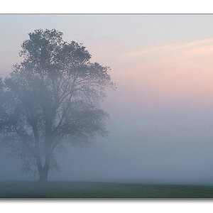 2011 herbst25