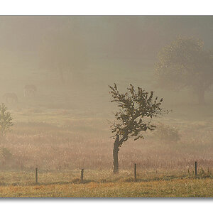 2011 herbst27