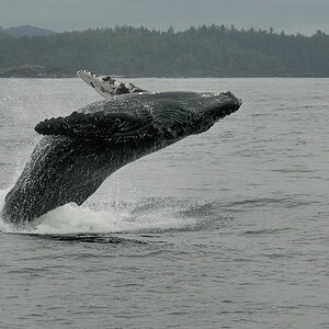 2011 08 09 10 34 40 D30 1037 a