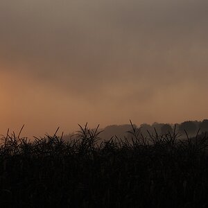 DSC 4891 005