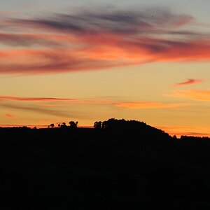 DSC 4915 007