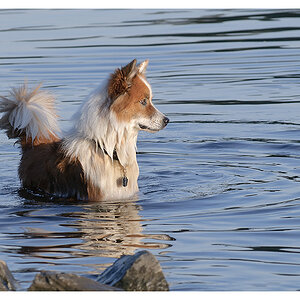 Wasser