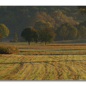 2011 herbst28