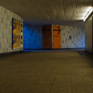 DSC4860