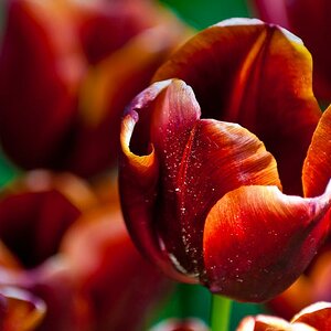 20090510 01