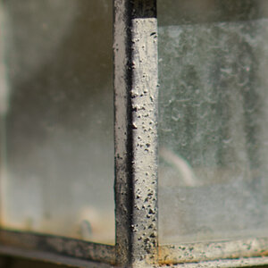 AF-S 85/1.4G f2.8 (cropped)