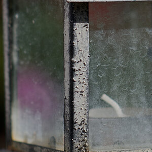 AF-S 85/1.4G f2.8 (cropped)