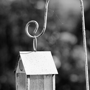 AF-S 85/1.4  f2.8 BW
