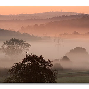 2011 herbst17