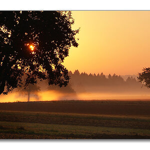 2011 herbst16