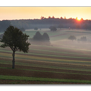 2011 herbst15