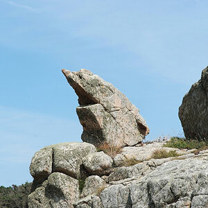 lebendesteine