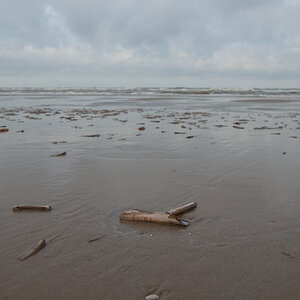 Muscheln2