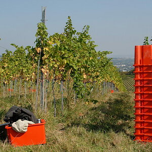 ...die Farbe Rot!