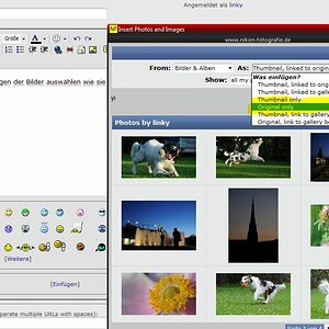 sample insert image