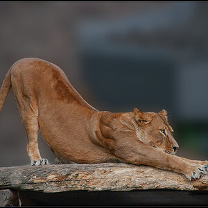 Stretching