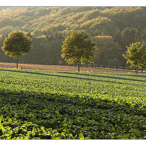 Dortmunder Herbst 2