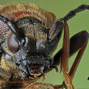 2011 08 25 23.38.43 ZS PMax