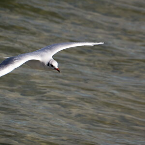 Prerow Strand