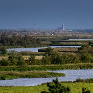 Blick über den Bodden von Prerow "Hohe Düne" nach Barth