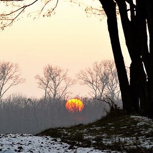 sundown marchfeld
