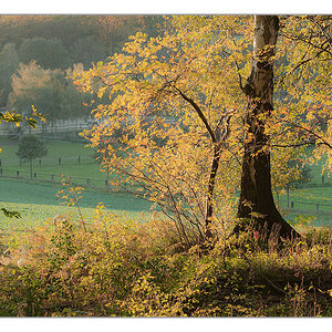 Dortmunder Herbst 3