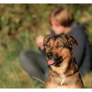 Sohn und Hund