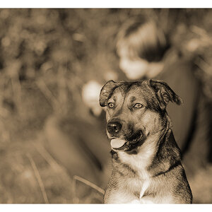 Sohn und Hund sephia