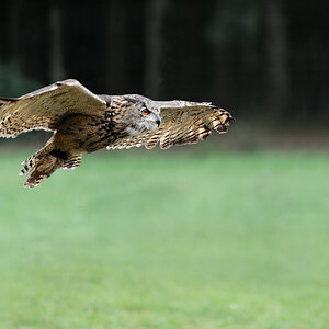 Landeanflug II