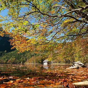 Farben im Herbst Teil2