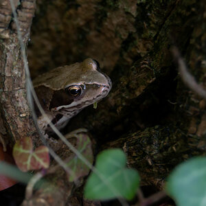 DSC 0512 small