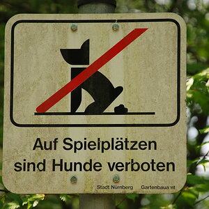 DSC 5668 b Bildgröße ändern